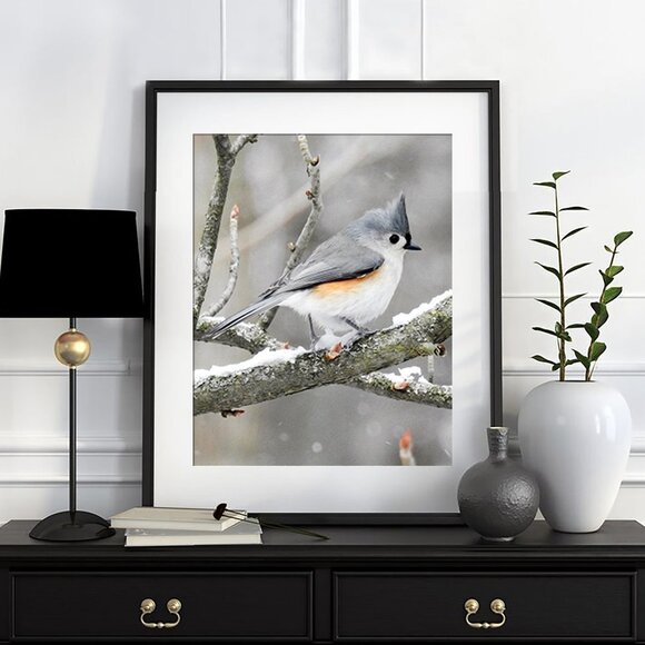 8x10 Tufted Titmouse in Snow Bird Photography Print‎ - Picture 3 of 5